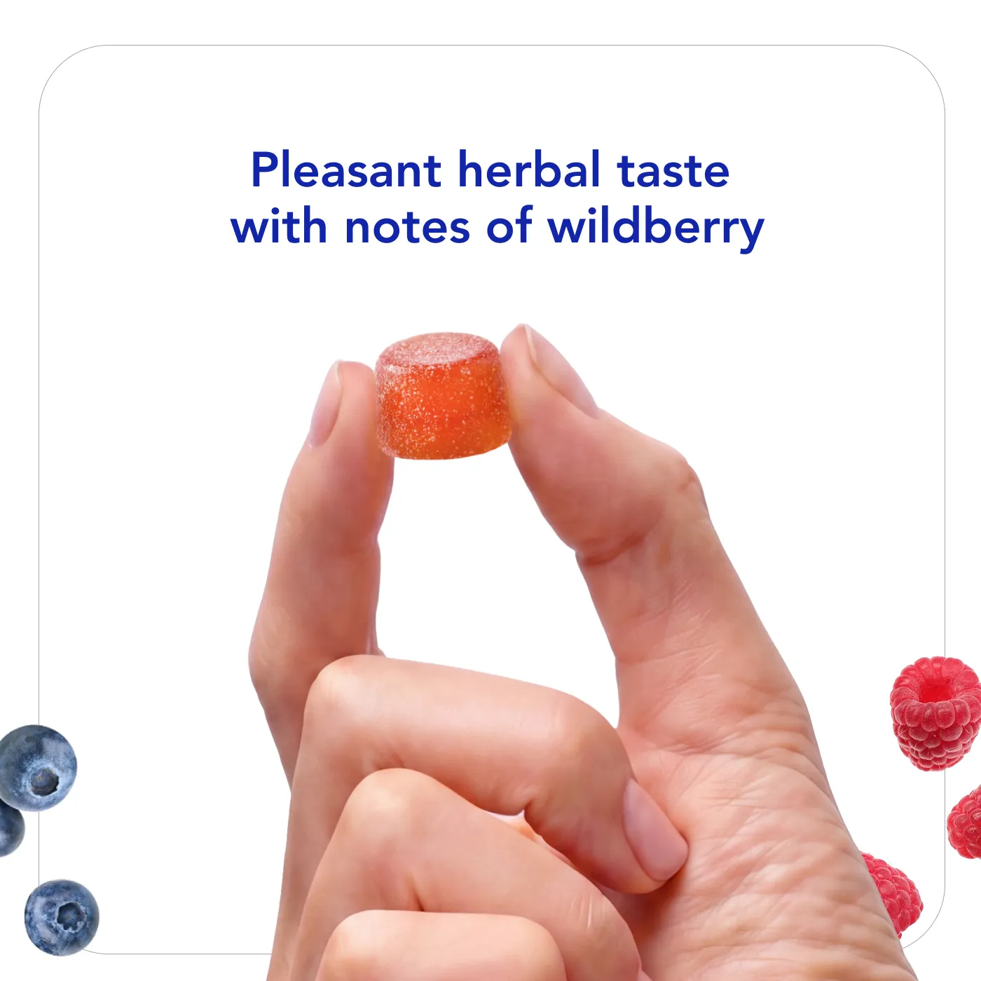 Biocidin Botanicals Biocidin Gummies tarmgummies 60 st wildberry