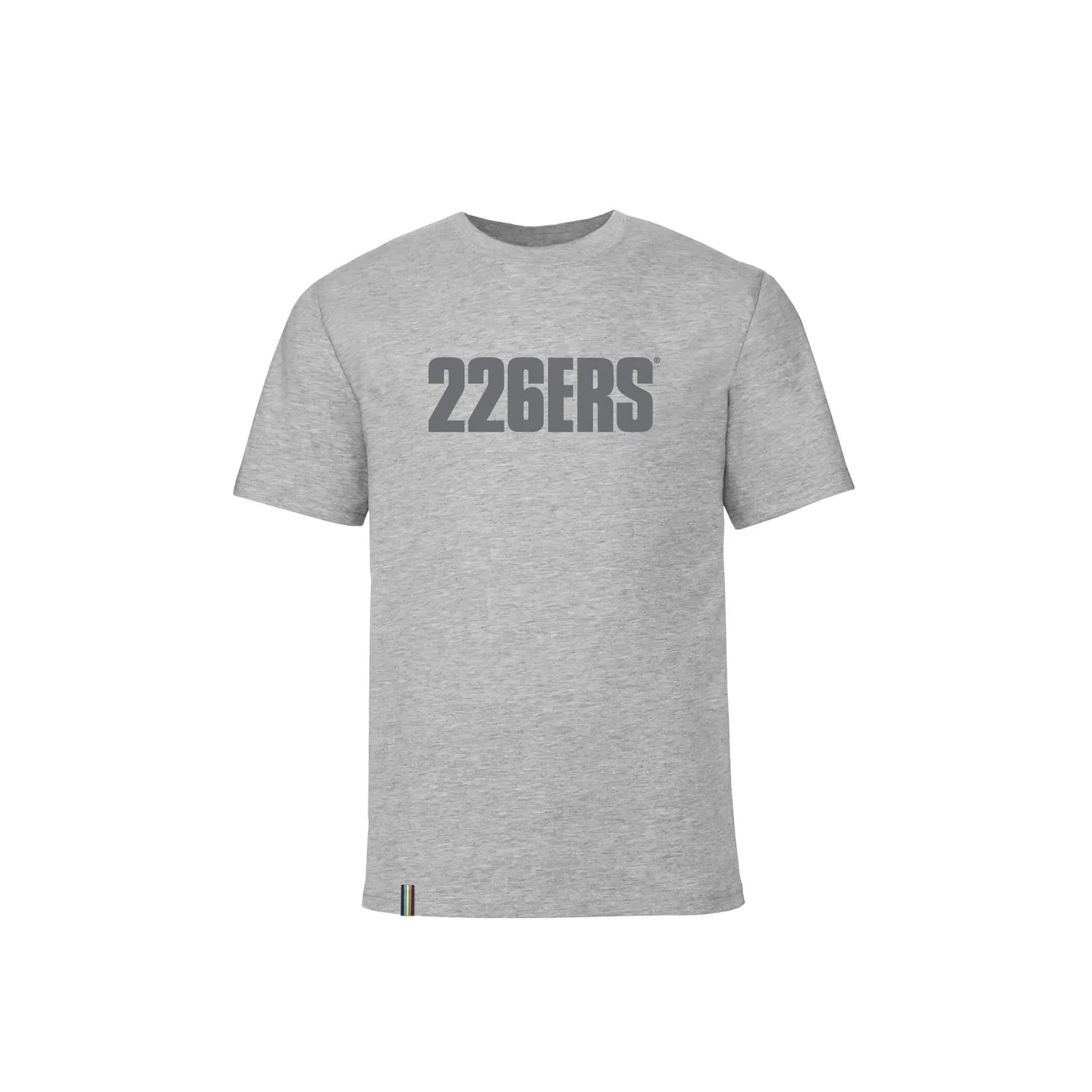 226ERS Big Logo t-shirt grå bomull